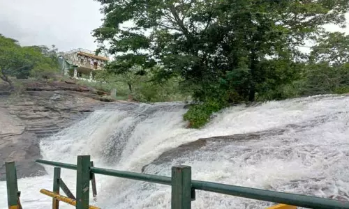 வெள்ளப்பெருக்கு குறைந்ததால், கும்பக்கரை அருவியில் குளிக்க சுற்றுலா பயணிகளுக்கு அனுமதி வெள்ளப்பெருக்கு குறைந்ததால், கும்பக்கரை அருவியில் குளிக்க சுற்றுலா பயணிகளுக்கு அனுமதி