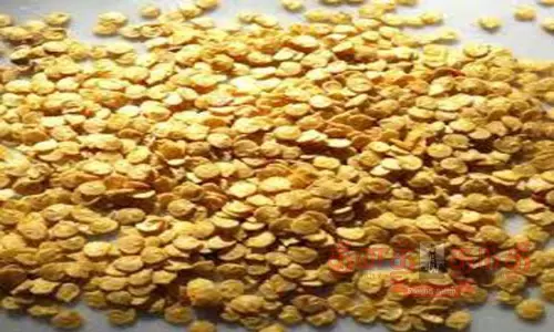 விவசாயிகளுக்கு இலவச மிளகாய் விதைகள்