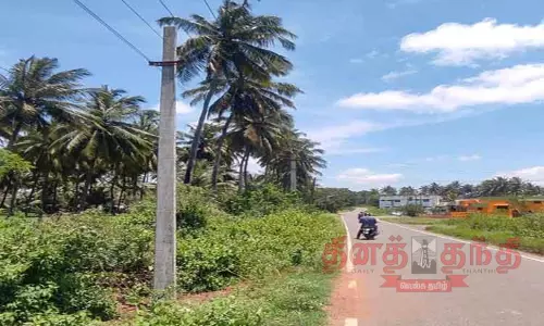 புதிய மின்கம்பம் நடப்பட்டது