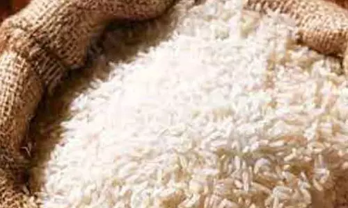 சேலம் அருகே வீட்டில் பதுக்கிய 1 டன் ரேஷன் அரிசி பறிமுதல் 2 வாலிபர்கள் கைது சேலம் அருகே வீட்டில் பதுக்கிய 1 டன் ரேஷன் அரிசி பறிமுதல் 2 வாலிபர்கள் கைது
