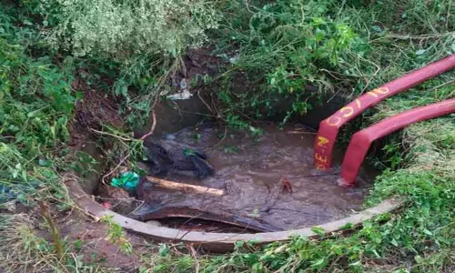 குழிக்குள் தவறி விழுந்த 2 காட்டுப்பன்றிகள் மீட்பு