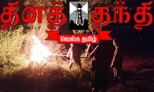 7 ஆடுகளை கதண்டுகள் கடித்தது 7 ஆடுகளை கதண்டுகள் கடித்தது