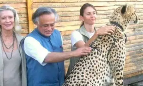 சிறுத்தைப்புலி திட்டம் நாங்கள் போட்டது காங்கிரஸ் கட்சி சொல்கிறது