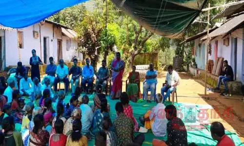 வனத்துறை சார்பில்   நெடுங்குன்று மலைவாழ் கிராமத்தில் அடிப்படை வசதிகளுக்கு நடவடிக்கை   அதிகாரிகள் தகவல்