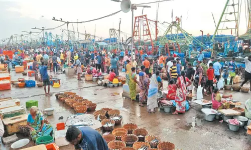 புரட்டாசி மாதம் தொடங்கியதால் காசிமேட்டில் மீன் விற்பனை மந்தம்