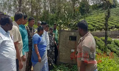 வால்பாறை அருகே கரடிகள் தாக்கி தொழிலாளி படுகாயம்  கூண்டு வைத்து பிடிக்க வனத்துறை நடவடிக்கை