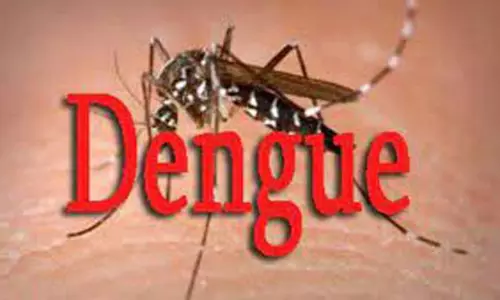 காய்ச்சல் பரவல் எதிரொலி:    டெங்கு கொசுப்புழு ஒழிப்பு பணிக்காக 700 தற்காலிக பணியாளர்கள் நியமனம்