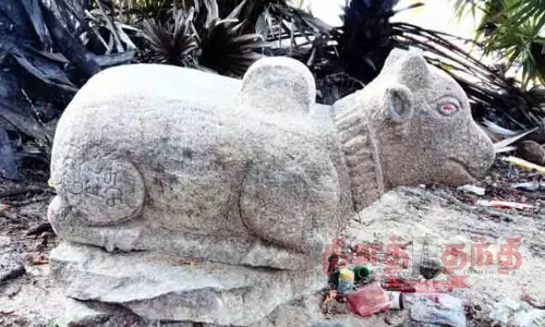 13-ம் நூற்றாண்டு நந்தி சிலை கண்டெடுப்பு