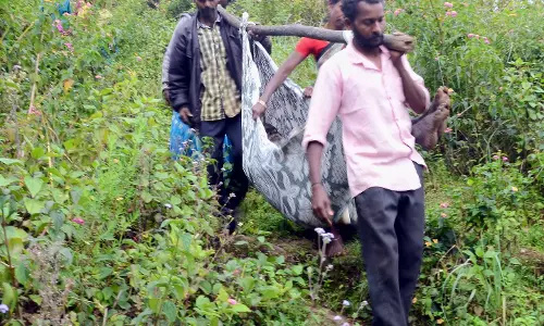 கரடு, முரடான பாதையில் பயணம்: அடிப்படை வசதிக்காக ஏங்கும் மலைக்கிராம மக்கள்