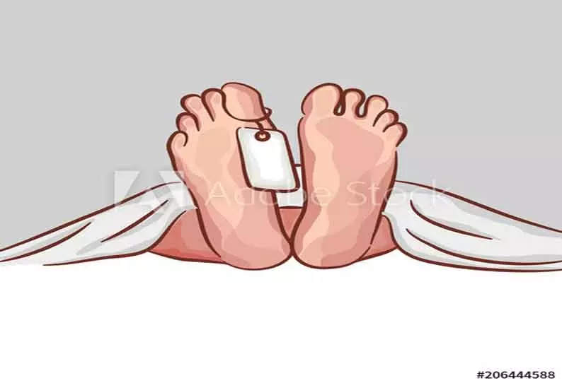 ஆட்டோக்கள் மோதல்; பெண் பலி ஆட்டோக்கள் மோதல்; பெண் பலி
