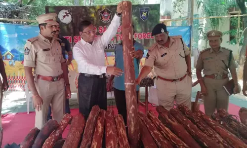 திருப்பதி: ரூ.50 லட்சம் மதிப்பிலான செம்மரக்கட்டைகள் பறிமுதல் - 13 பேர் கைது திருப்பதி: ரூ.50 லட்சம் மதிப்பிலான செம்மரக்கட்டைகள் பறிமுதல் - 13 பேர் கைது