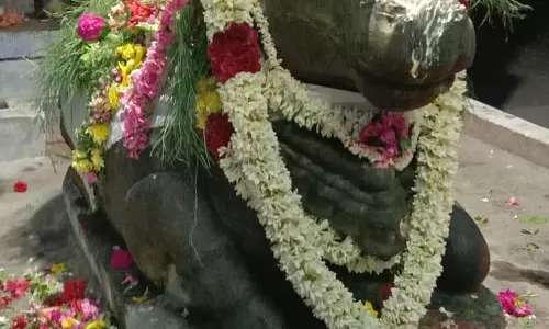 பிரதோஷத்தையொட்டி பரமத்திவேலூர் சிவன் கோவில்களில் சிறப்பு பூஜை பிரதோஷத்தையொட்டி பரமத்திவேலூர் சிவன் கோவில்களில் சிறப்பு பூஜை