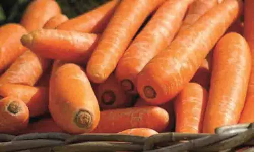 கரூர் மார்க்கெட்டில் ஒரு கிலோ கேரட் ரூ.160-க்கு விற்பனை கரூர் மார்க்கெட்டில் ஒரு கிலோ கேரட் ரூ.160-க்கு விற்பனை