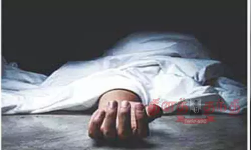 மரத்தில் இருந்து தவறி விழுந்து தொழிலாளி சாவு