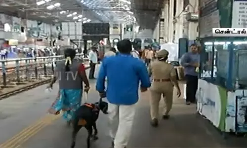 கோவை பெட்ரோல் குண்டுவீச்சு சம்பவம் எதிரொலி - சென்னை சென்ட்ரல் ரெயில் நிலையத்தில் சோதனை