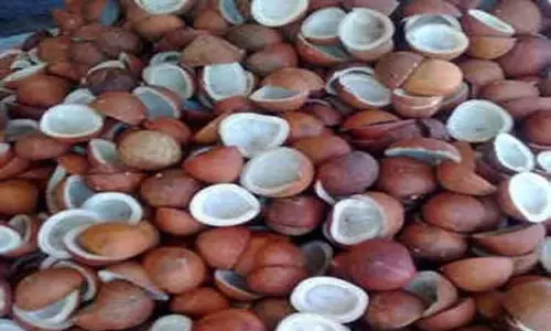 ஆதார விலை கொப்பரை கொள்முதலுக்கு விவசாயிகள் பதிவு செய்ய வேண்டும்