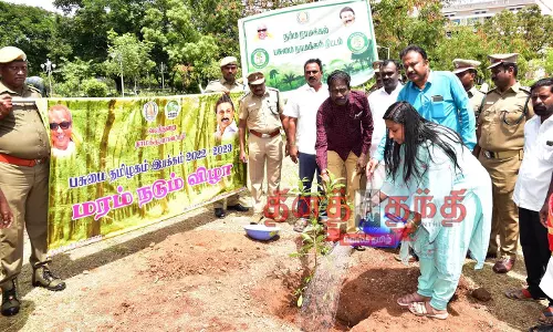 பசுமை தமிழகம் இயக்கத்தின் கீழ்  3 லட்சத்து 70 ஆயிரம் மரக்கன்றுகள் நடப்பட உள்ளன  கலெக்டர் ஸ்ரேயா சிங் தகவல்