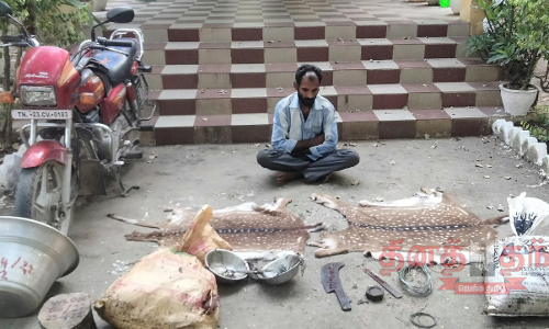 மான் இறைச்சியை விற்க முயன்றவர் கைது மான் இறைச்சியை விற்க முயன்றவர் கைது