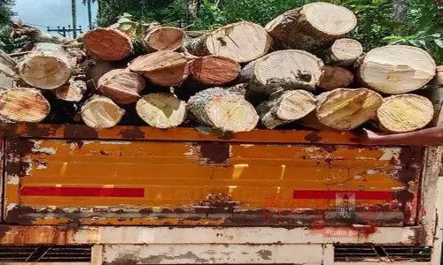 பந்தலூர் அருகே மரங்களை வெட்டி கடத்திய லாரி பறிமுதல் பந்தலூர் அருகே மரங்களை வெட்டி கடத்திய லாரி பறிமுதல்