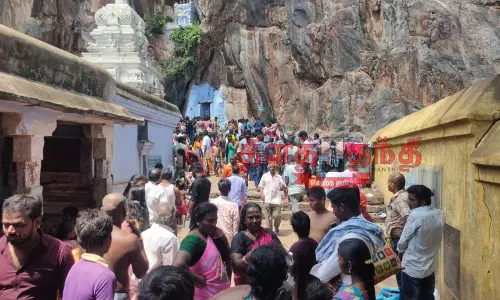 தீர்த்தகிரீஸ்வரர் கோவிலில் சிறப்பு பூஜை தீர்த்தகிரீஸ்வரர் கோவிலில் சிறப்பு பூஜை