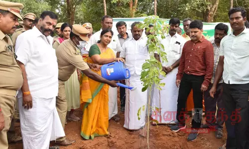 10¾ லட்சம் மரக்கன்றுகள் நடும் பணி 10¾ லட்சம் மரக்கன்றுகள் நடும் பணி