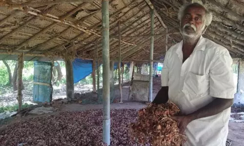 17 டன் சின்னவெங்காயத்தை விற்க முடியாமல் விவசாயி கவலை 17 டன் சின்னவெங்காயத்தை விற்க முடியாமல் விவசாயி கவலை