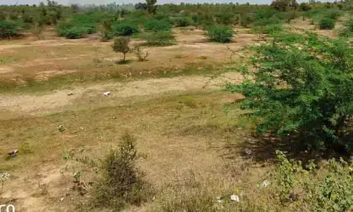 கறம்பக்குடி பகுதியில் வறண்டு கிடக்கும் பாசன குளங்கள் கறம்பக்குடி பகுதியில் வறண்டு கிடக்கும் பாசன குளங்கள்