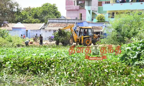 கந்தம்பாளையத்தில் குட்டையில் ஆகாயத்தாமரைகள் அகற்றும் பணி தொடக்கம் கந்தம்பாளையத்தில் குட்டையில் ஆகாயத்தாமரைகள் அகற்றும் பணி தொடக்கம்