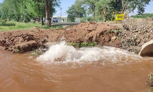 தினத்தந்தி புகார் பெட்டி தினத்தந்தி புகார் பெட்டி