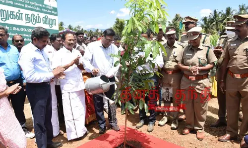 மாவட்டத்தில் பசுமை வனப்பரப்பை 33 சதவீதமாக உயர்த்த நடவடிக்கை மாவட்டத்தில் பசுமை வனப்பரப்பை 33 சதவீதமாக உயர்த்த நடவடிக்கை