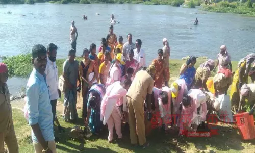 தாமிரபரணி ஆற்றங்கரையில் தூய்மை பணி தாமிரபரணி ஆற்றங்கரையில் தூய்மை பணி
