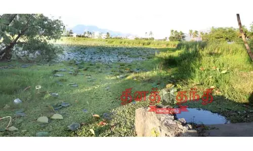 மாசடைந்து வரும் தேரேகால்புதூர் சடையன்குளம் மாசடைந்து வரும் தேரேகால்புதூர் சடையன்குளம்