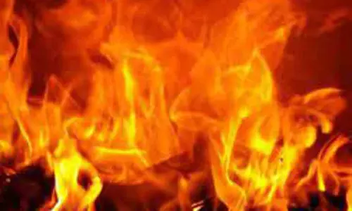 குடிசை வீடு தீயில் எரிந்து நாசம்