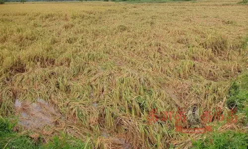 வடுவூர், கூத்தாநல்லூரில் கொட்டித்தீர்த்த கனமழை