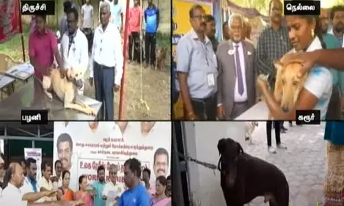 ரேபீஸ் நோய் தடுப்பு தினம் - தமிழகம் முழுவதும் நாய், பூனைகளுக்கு இலவச தடுப்பூசி முகாம் ரேபீஸ் நோய் தடுப்பு தினம் - தமிழகம் முழுவதும் நாய், பூனைகளுக்கு இலவச தடுப்பூசி முகாம்