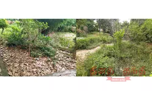 திருச்சி ராயல்ரோடு சாலையோர பூங்காவில் விளையாட்டு உபகரணங்கள் உடைந்து கிடக்கும் அவலம்