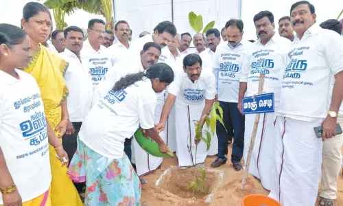 பசுமை தமிழகம் திட்டத்தின் மூலம் மரக்கன்றுகள் நடும் நிகழ்ச்சி பசுமை தமிழகம் திட்டத்தின் மூலம் மரக்கன்றுகள் நடும் நிகழ்ச்சி