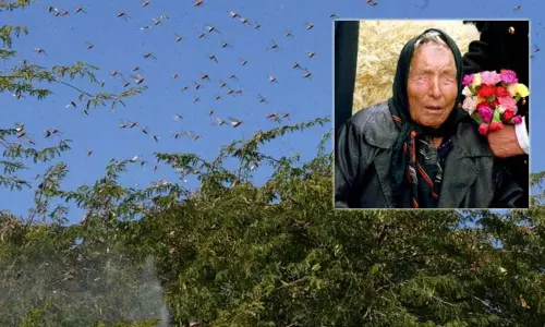 இந்தியாவில் இந்த ஆண்டு வெட்டுக்கிளி தாக்குதல் ஆபத்து- அதிர்ச்சி தரும் பாபா வாங்காவின் கணிப்பு