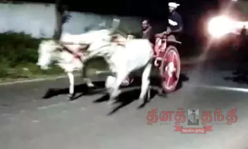 அனுமதியின்றி ரேக்ளா பந்தயம்