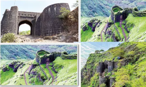 மலைக்கவைக்கும் மலை வாழிடங்கள்