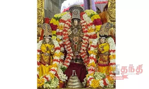 லட்சுமி நரசிம்மர் கோவிலில் தங்க கேடயத்தில் சாமி வீதி உலா லட்சுமி நரசிம்மர் கோவிலில் தங்க கேடயத்தில் சாமி வீதி உலா