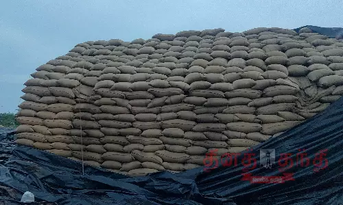 கோவில்பத்து சேமிப்பு கிடங்குக்கு வெளியே அடுக்கி வைக்கப்பட்டுள்ள நெல் மூட்டைகள் கோவில்பத்து சேமிப்பு கிடங்குக்கு வெளியே அடுக்கி வைக்கப்பட்டுள்ள நெல் மூட்டைகள்