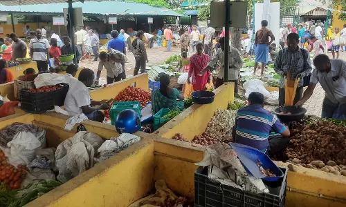 தர்மபுரி உழவர் சந்தையில் ரூ.17 லட்சத்துக்கு காய்கறி, பழங்கள் விற்பனை தர்மபுரி உழவர் சந்தையில் ரூ.17 லட்சத்துக்கு காய்கறி, பழங்கள் விற்பனை