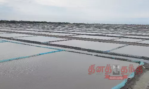 வேதாரண்யத்தில் உப்பு உற்பத்தி நிறுத்தம்