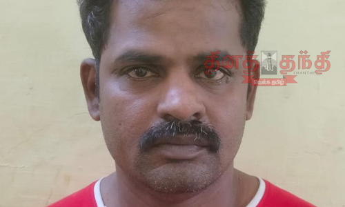 பூட்டிய வீடுகளில் கைவரிசை காட்டிய கொள்ளையன் கைது