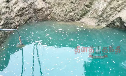 விவசாய கிணற்றில் செத்து மிதந்த மீன்கள் விவசாய கிணற்றில் செத்து மிதந்த மீன்கள்