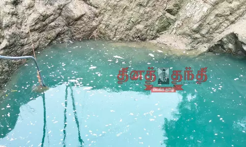விவசாய கிணற்றில் செத்து மிதந்த மீன்கள் விவசாய கிணற்றில் செத்து மிதந்த மீன்கள்