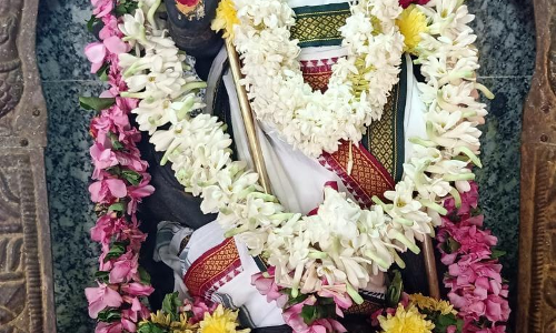 முருகன் கோவில்களில் சிறப்பு பூஜை முருகன் கோவில்களில் சிறப்பு பூஜை