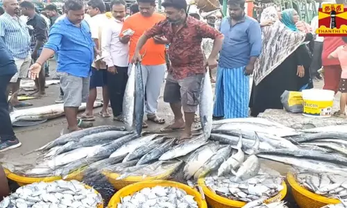 புரட்டாசி மாதத்திலும் காசிமேடு மீன் மார்க்கெட்டில் களைகட்டிய மக்கள் கூட்டம்...!
