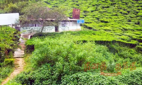 புதர் சூழ்ந்து இருக்கும் ஆரம்ப சுகாதார நிலையம்